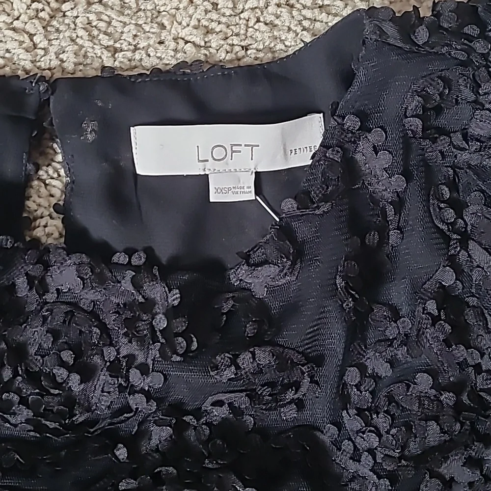 Loft PXXS Tulle Puff Sleeve Top